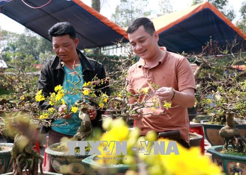 Rộn ràng sắc Xuân trên mọi miền Tổ quốc ảnh 10